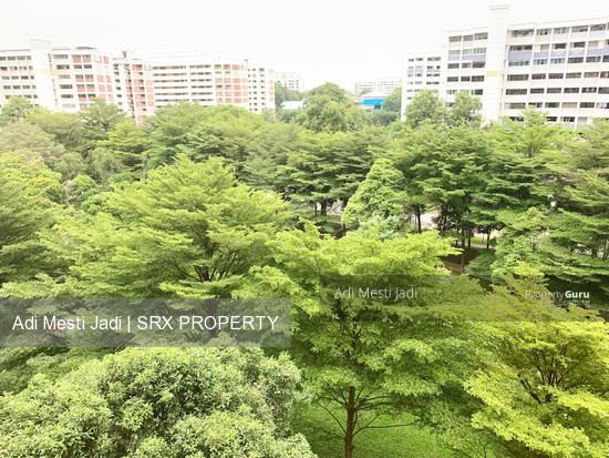 Blk 471 Jurong West Street 41 (Jurong West), HDB Executive #209312401